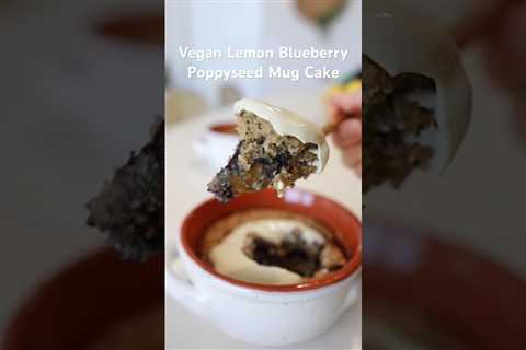 VEGAN ðLemon ð«Blueberry Poppyseed Mug Cake