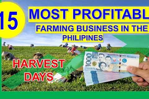 Top 15 Most Profitable Farming Business in the Philippines per Return on Investments w/ Harvest Days
