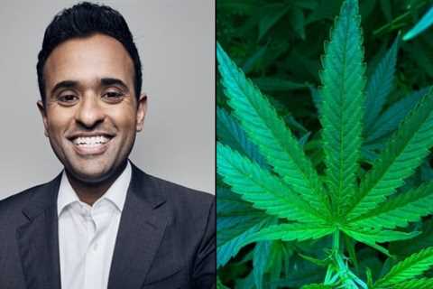 GOP Candidate Ramaswamy Supports Federal Marijuana Legalization And Allowing Veterans To Use..