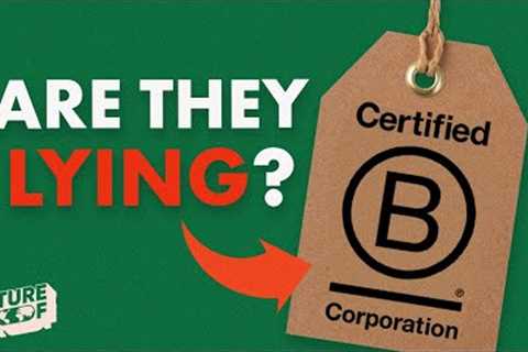 The TRUTH about B Corporations
