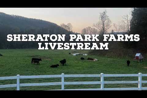 Sheraton Park Farms is going live!