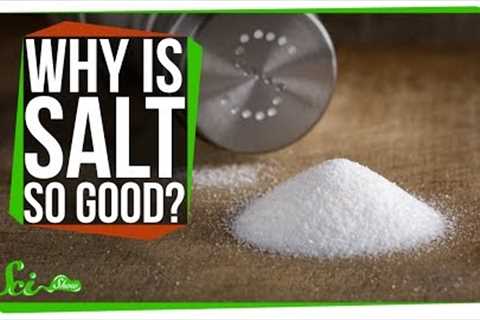 Why Does Salt Make Food Taste Better?