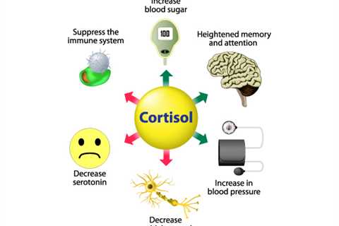 Cortisol and the Immune System