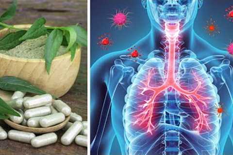 Top 12 Herbs to Destroy Viruses Fast and Boost Immune System