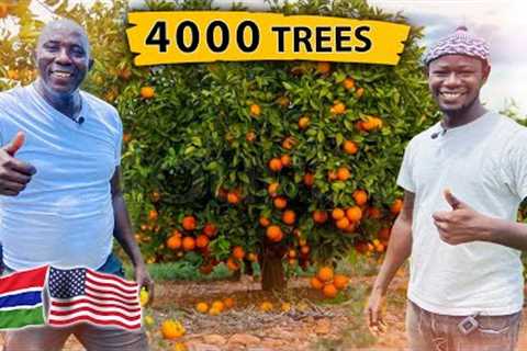 He left USA🇺🇸 to invest D11 Million in Orange Farm: A Bold Investment Story