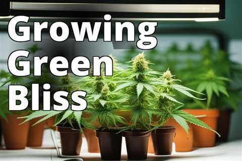 From Seed to Smoke: Your Complete Guide to Growing Marijuana Strains as a Hobby