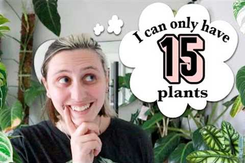 If I could only have 15 plants... 🪴 My Favourite Plants of All Time!