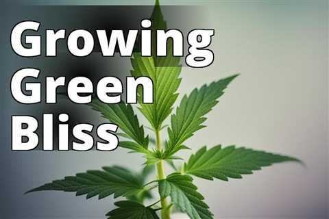 Growing Marijuana at Home: A Step-by-Step Guide for Home Gardeners