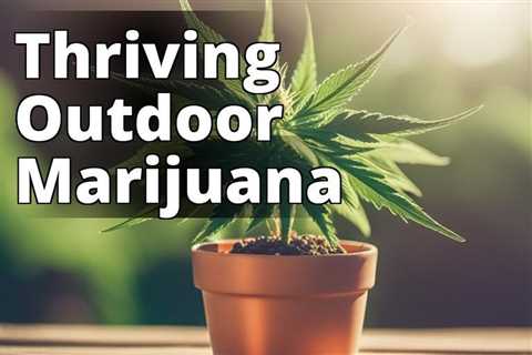 The Ultimate Guide to Growing Marijuana Outdoors for Hobbyist Gardeners