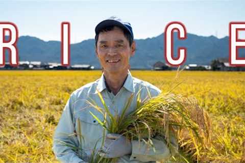 Organic Japanese Rice Farmer: Full Version