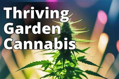 Maximizing Your Yield: Tips for Growing Marijuana in Large Gardens