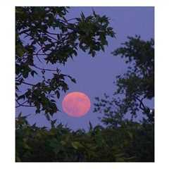 Events on August 1, 20 23 – Full Moon Tuesday – Full Moon Fire Ceremony, Full Moon Meditation,..