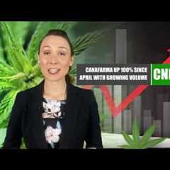 CanaFarma Hemp Products (CNFA) Volume and Liquidity Update for May 2020
