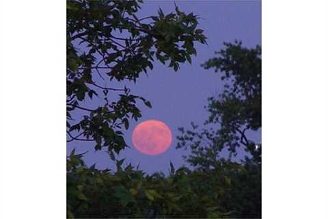 Events on August 1, 20 23 – Full Moon Tuesday – Full Moon Fire Ceremony, Full Moon Meditation,..