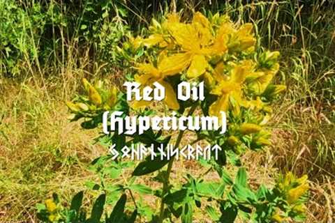 HERBOLOGY & ALCHEMY | Red Oil (Hypericum Oil against Depression)