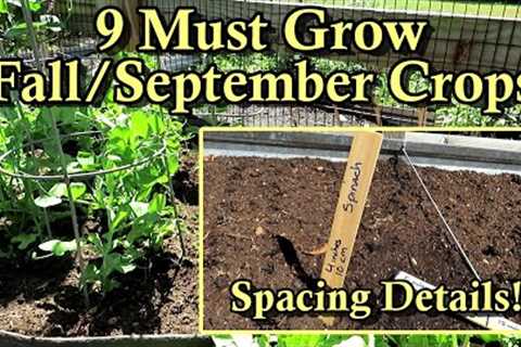 9 Fast Growing Crops to Plant in September for a Fall Garden: Direct Seeding & Seed Spacing..