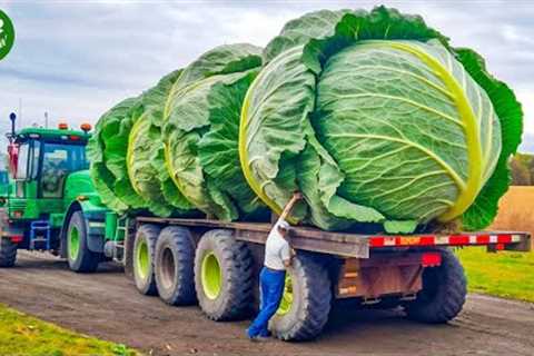 Revolution in Agriculture - A Selection of The Most Successful Agricultural Machines