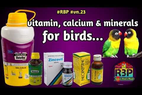 vitamin calcium & minerals for birds / multivitamin supplements for birds / vimeral for birds..