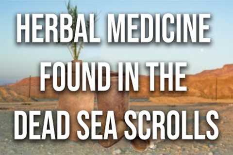 Herbal Medicine Found in the Dead Sea Scrolls | Ken Johnson