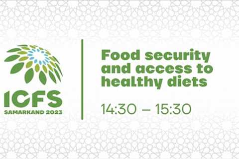 Technical session №2. Food security and access to healthy diets