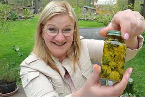 5 WAYS to USE DANDELION FLOWERS 🌼