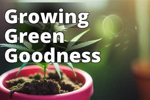 The Ultimate Guide to Growing Marijuana for Personal Gratification