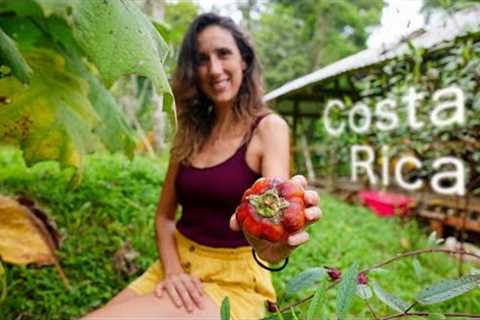 How To Create A Completely Sustainable Farm + Tour | Costa Rica