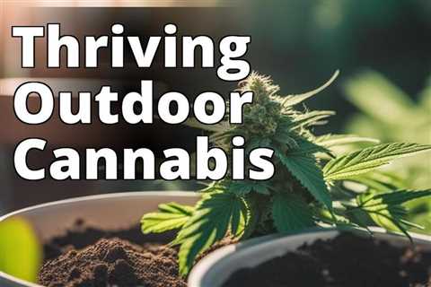 From Garden to Joint: A Complete Guide to Growing Marijuana Outdoors