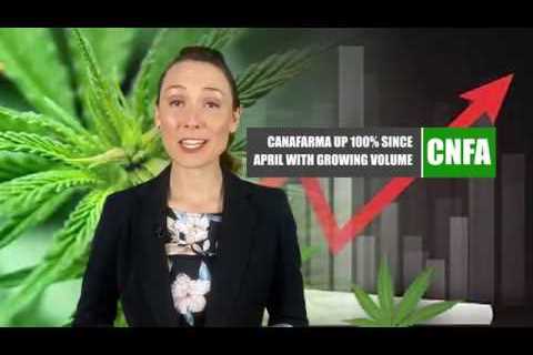 CanaFarma Hemp Products (CNFA) Volume and Liquidity Update for May 2020