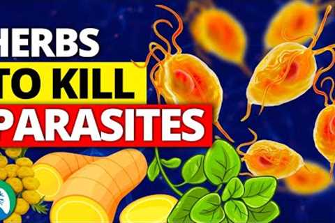 🌱Top 10 Best Herbs for Parasites (Natural Detox and Cleanse)