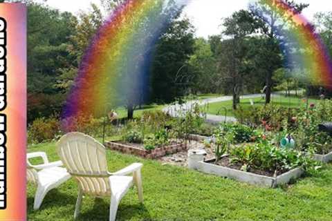 What''s Growing in the Square Foot Garden in Mid-September? Sweet Potatoes, Squash, Tomatoes