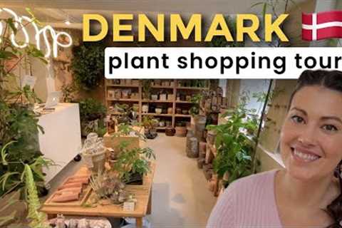 DENMARK Plant Shopping Tour & Haul - $3 Silver Sword Philodendron! Copenhagen, Denmark Indoor..