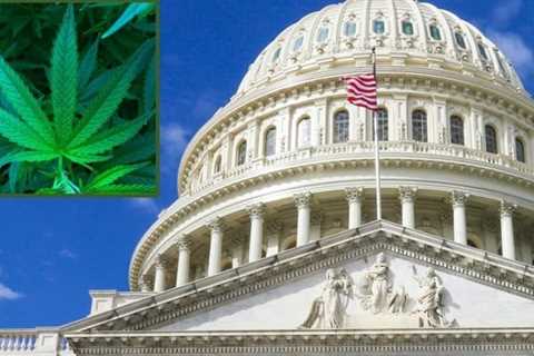 U.S. Senate Committee Approves Bipartisan Marijuana Banking Bill, Sending It To The Floor