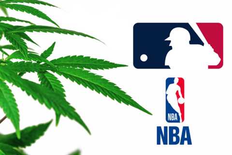 American Pro Sports Leagues Embrace CBD And Cannabis