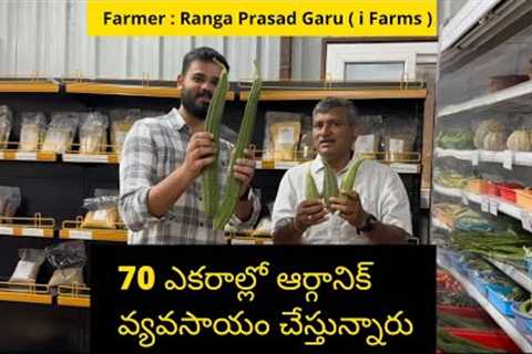 Organic Farmer | Ranga Prasad Garu | i Farms | Gachibowli | Contact | 8500496789 | 8500660012