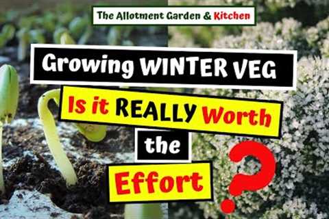 Growing Winter Vegetables in Autumn / Fall (Is it Worth it?) #132