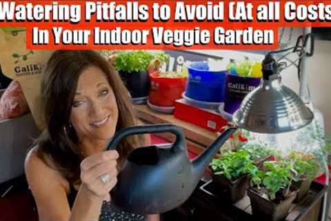 5 Watering Pitfalls to Avoid (At all Costs!) in Your Indoor Vegetable Garden