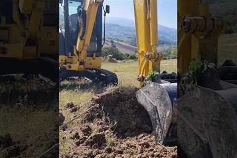 Olive grove part 1 #nature #agriculture #organic #farming #oil #olive #work #nature  #excavator