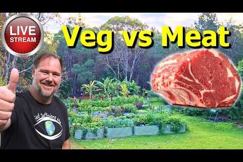 Vegetables are BAD for YOU? The Carnivore Diet.