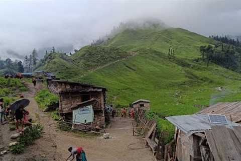 Himalayan People Shepherd Lifestyle || Organic  Food Cooking and Eating Rainy Time Always happy ||