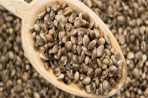 Can You Fail a Drug Test from Hemp Seed Oil?