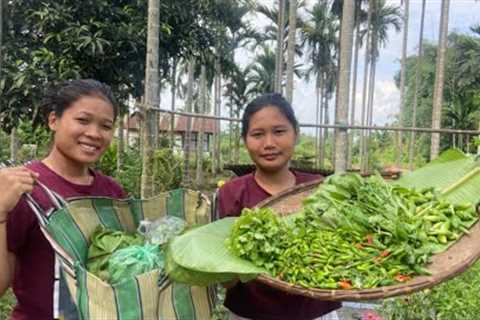 @JerryKeVlogs ke sath Organic Vegetables collect Kiya | Cook and Eat | Ginger Flower | Fresh Vegs