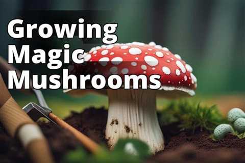 Step-by-Step Guide to Growing and Harvesting Amanita Muscaria
