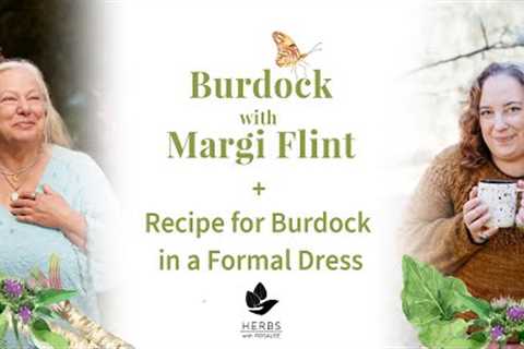 Burdock with Margi Flint + Recipe for Burdock in a Formal Dress