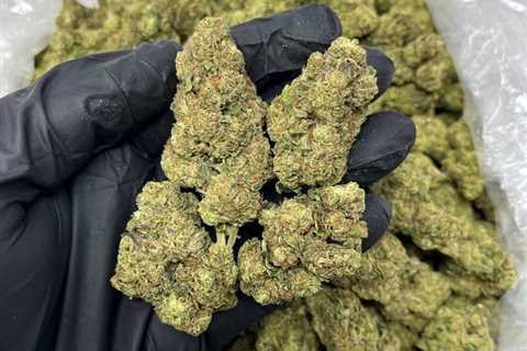 LCG-B 🍋🍒  #weed #Orlando #orlandoweed #Kissimmee #Miami #Davenport…