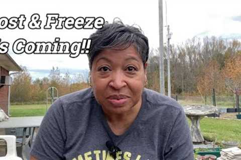 Frost and Freeze is coming!