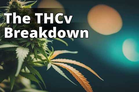 Exploring the Potential Benefits and Risks of THCV: A Comprehensive Guide