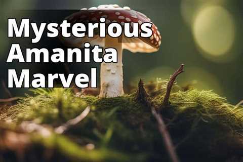 The Dangers of Amanita Mushrooms: Identification, Toxicity, and Prevention