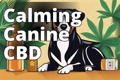 Unlocking the Power of CBD: Best Products for Soothing Barking Dogs