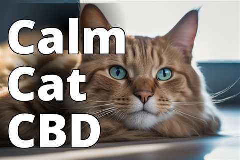Unleash Calm: Discover the Best CBD for Aggressive Cats